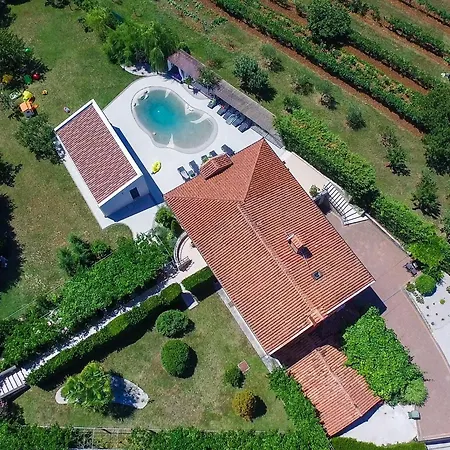 Franka * Nedeščina